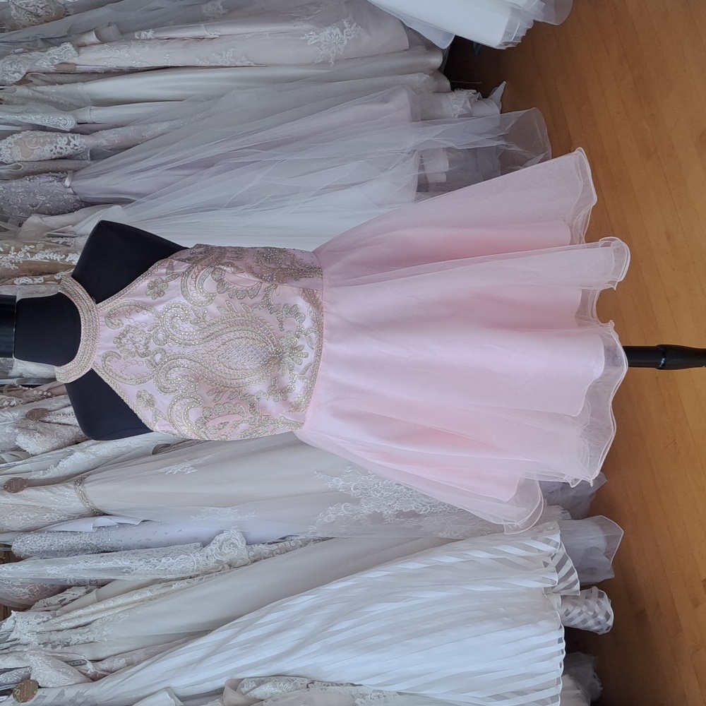 Blush & gold plus size homecoming dress
